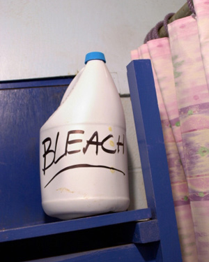 The Bleach Cure